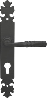 Hades P18 PZ Door Handle on a Backplate - pitch 72mm